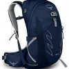 osprey talon 22 men's hiking pack