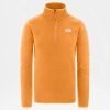 the north face men's m 100 glacier 1/4 zi clear lake blue fleece